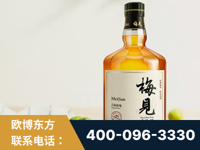 扎兰屯-梅见青梅酒